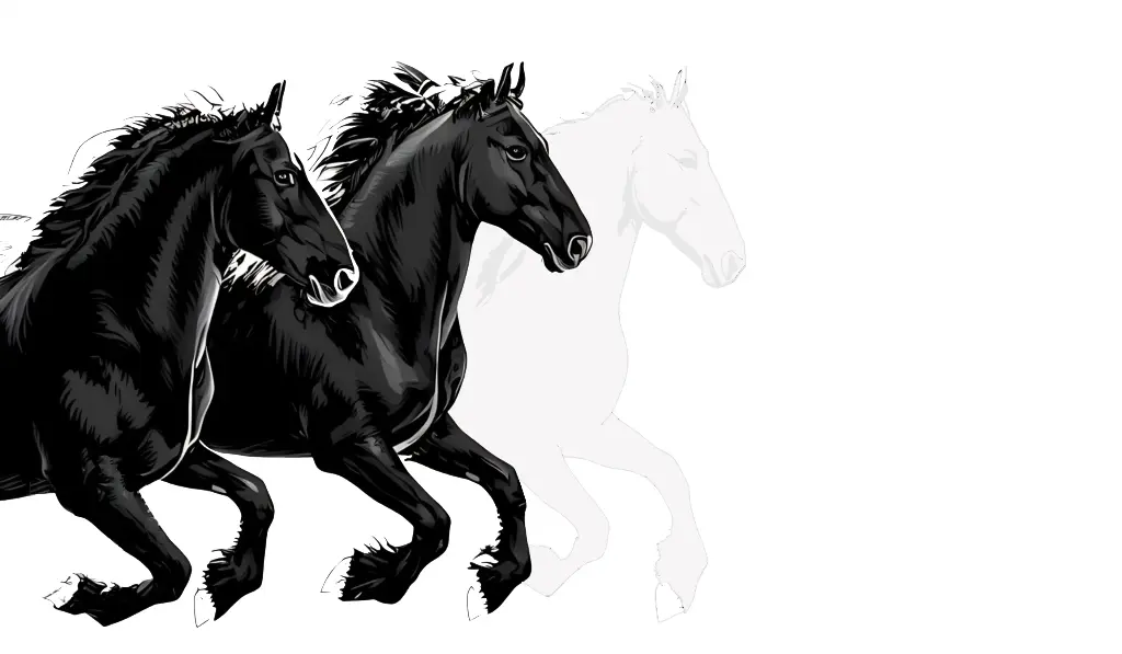 Two Black Beauty